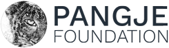 Pangje Foundation